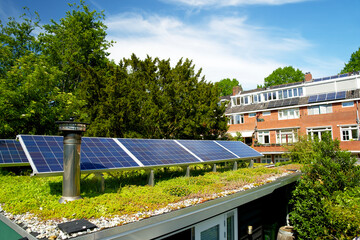 Solar panels on a green roof with flowering sedum plants - obrazy, fototapety, plakaty