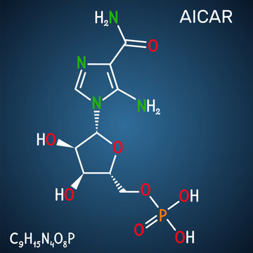 AICA ribonucleotide, AICAR molecule. It is aminoimidazole, cardiovascular drug, plant and human metabolite. Structural chemical formula on the dark blue background