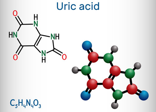 Uric acid molecule. It is heterocyclic compound, crystalline product of protein metabolism, found in the blood and urine. Structural chemical formula and molecule model