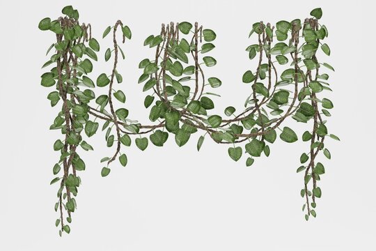 Realistic 3D Render of Liana Plants