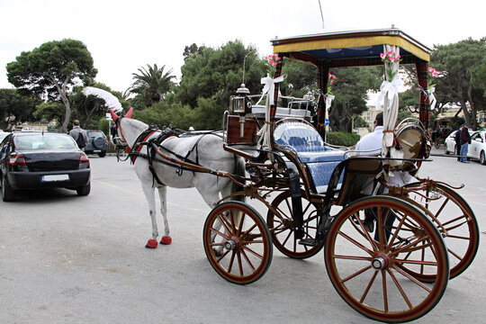Caballo y calesa decorada.