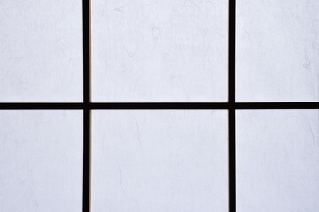 "Shoji" are sliding paper doors with thin Japanese paper.