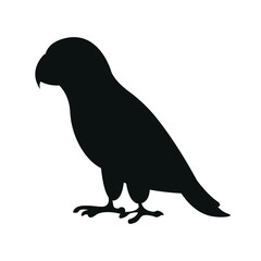 Fototapeta premium parrot silhouette vector animal
