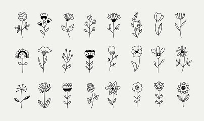 Fototapeta premium Wild flowers set botanical herb elements, hand drawn style, vector illustration