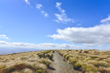 Kepler Track - Great Walks, Fiordland National Park, New Zealand