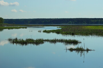 Landscape with lake and trees in the spring morning.