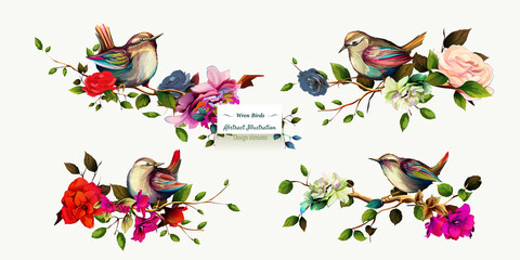 Wren birds on branches with leaves. Set of four pictures. Hand drawn, watercolor, isolated on white. Vector - stock.