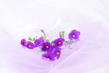 レースのリボンと紫のペチュニアの花束