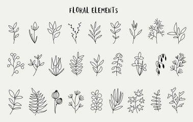 Floral elements for design, elegance leaves, and flowers set, hand drawn style, vector illustration	