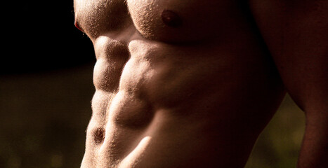 Torso six packs attractive. Six pack abs. Strong man with torso. Sexy muscular man. Sensual mans...