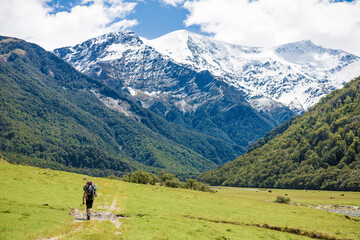Fototapeta na wymiar Matukituki Valley, Mount Aspiring National Park, Te waipounamu, New Zealand