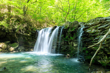 初夏の暮雨の滝　大分県　Kurasamenotaki Waterfall in early summer Ooita-ken