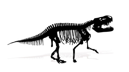 Fototapeta na wymiar The Skeleton of ancient big dinosaur. 