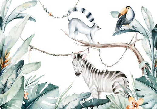 Watercolor jungle illustration of a lemur and toucan on white background. Madagascar fauna zoo exotic lemurs animal. Tropical design poster