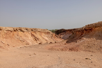 Fototapeta na wymiar Dry and arid landscape of Sir Bani Yas Island in the Arabian Gulf, Abu Dhabi