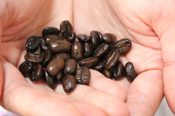 roasted coffee beans
