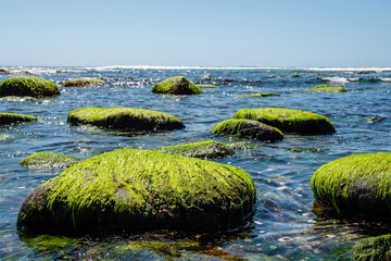 Stone covered with moss and green sea weed in the ocean. Selective color Abstract nature background