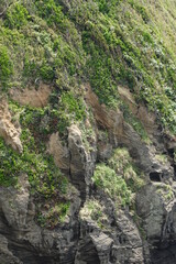 緑に覆われた岸壁