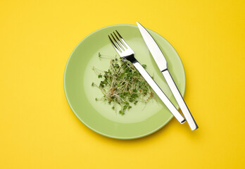 green sprouts of chia, arugula and mustard in a green round plate, top view. A healthy food