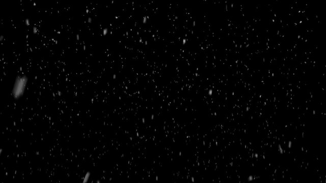 Natural falling snow, PNG codec with alpha channel - transparent background. Seamless loop