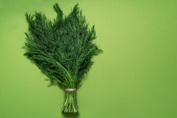 bunch fresh green dill isolated on green background