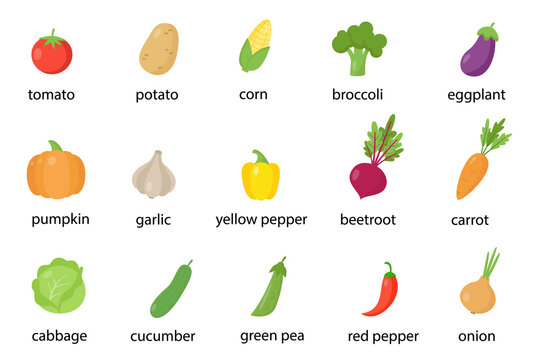 Set of colorful healthy vegetables with names. Vector illustrations.