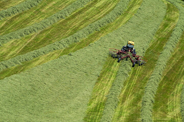 Traktor beim Heuwenden am steilen Hang