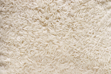 Raw rice Oryza sativa