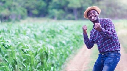 Successful african Farmer with hat stand in the corn plantation field.Agriculture or cultivation concept