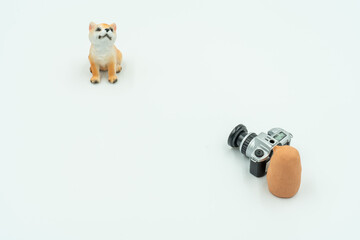 犬とはにわの写真撮影