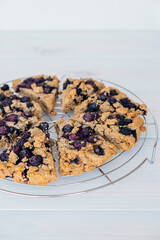 Freshly baked oat blueberry scones on cooling rack on white wooden background. Sweet food with natural ingredients. Vegan gluten free pastry..