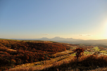 Fototapeta na wymiar 久住高原の紅葉とその先に見える阿蘇五岳