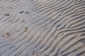 Sand background. Sand texture. On the shores of the Gulf of Finland.