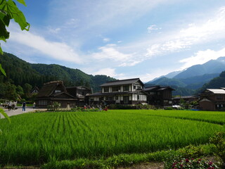 Fototapeta na wymiar 日本の田舎