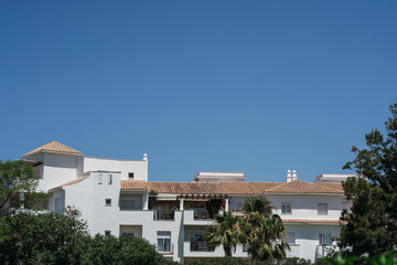 Fototapeta na wymiar Parte superior de edificio blanco con arbole con el cielo azul de fondo
