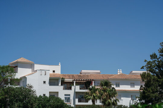 Parte superior de edificio blanco con arbole con el cielo azul de fondo