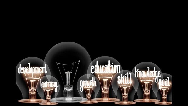 Light bulbs going from dark to light with Training, Skill, Education, Knowledge, Development and Learning fiber text on black background. High quality 4k video.