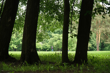 People resting sitting on grass in public park.