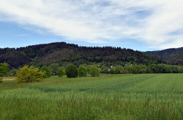 Fototapeta na wymiar Schwarzwaldfrühlingslandschaft im Dreisamtal