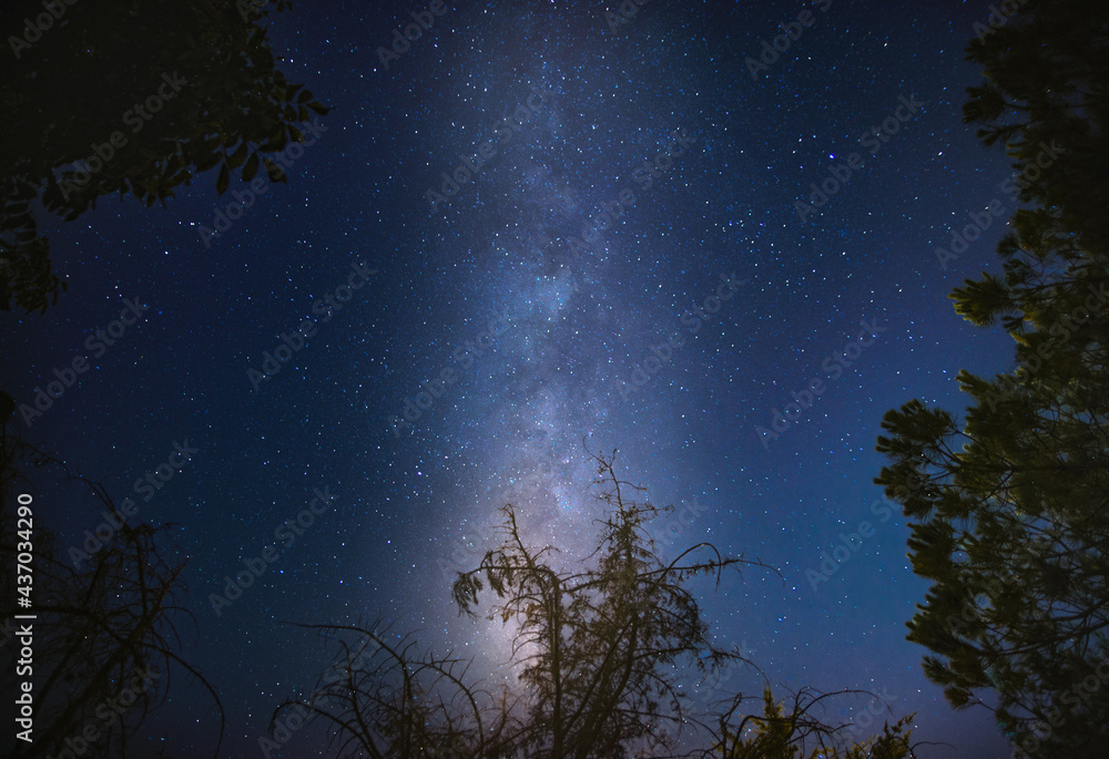 Wall mural night sky with stars