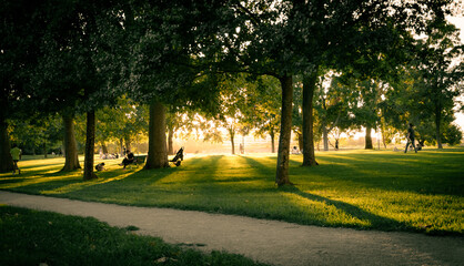 landscape of a summer sunset in a beautiful green park 