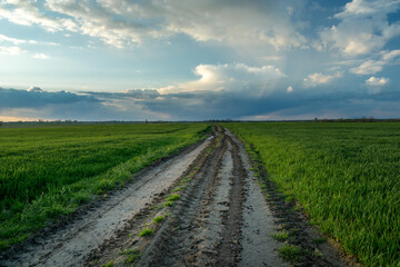 Fototapeta na wymiar Walking on a dirt road through green fields
