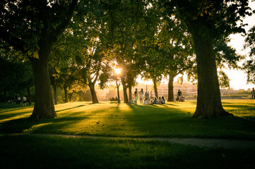 landscape of a summer sunset in a beautiful green park 