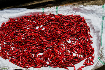 red chili peppers on the white fertilizer bag
