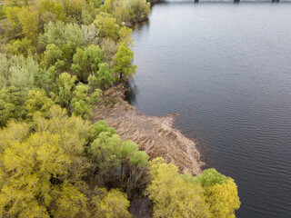 Lake shore in spring. Aerial drone view.