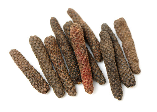Dried long pepper, piper longum isolated on white background