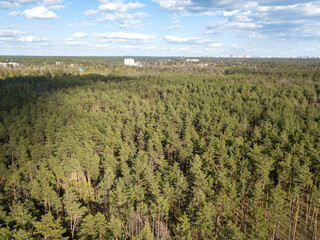 Fototapeta na wymiar Green forest in spring. Aerial drone view.