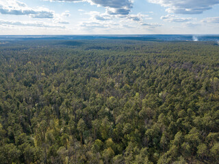 Fototapeta na wymiar Green forest in spring. Aerial drone view.