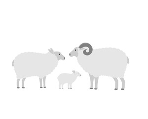 Family of farm Sheep, mom dad and Lamb