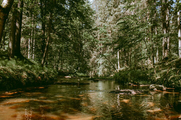 Fototapeta na wymiar Loja river flowing through a luscious green forest during a hot and sunny summer day
